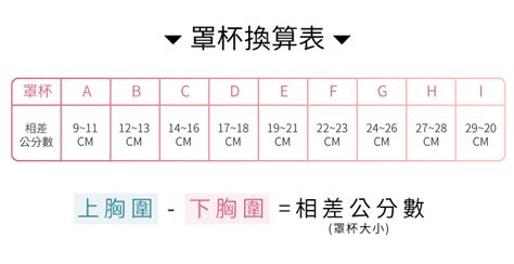 胸圍數字意思|【內衣尺寸對照表】如何正確測量胸圍？內衣罩杯尺寸的簡易換算。